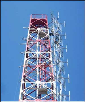 Dual Vertical Dipole Panel Antenna